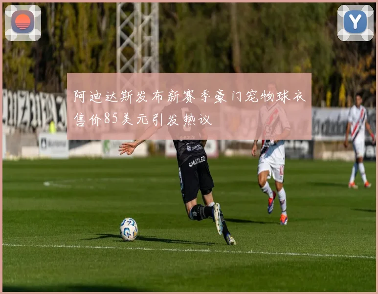 阿迪达斯发布新赛季豪门宠物球衣售价85美元引发热议